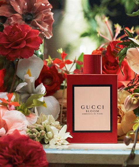 profumo gucci 2019 note olfattive|Gucci Bloom for Women US .